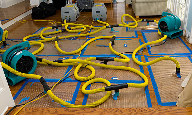 Professional Structural Drying And Dehumidification technician working in Minneapolis, KS